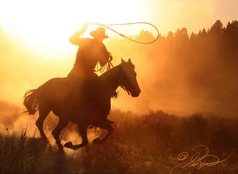 Silhouette 2 by photocrafter