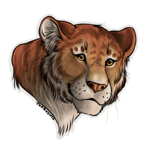Lion Page :|: Lioden
