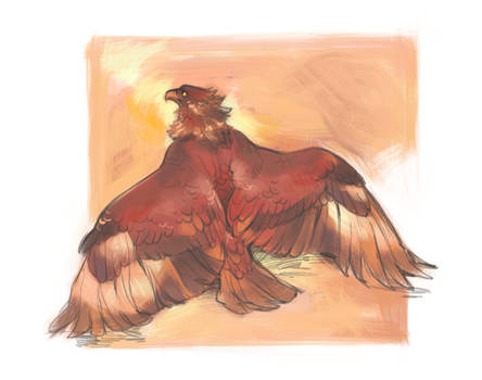 Golden eagle by Drkav