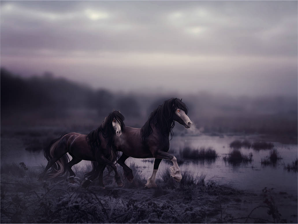 you can leave it all in your mind by candid-crocodiles