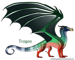 Trogon Ref by xTheDragonRebornx
