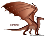 Thrasher Ref by xTheDragonRebornx