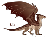 Salix Ref by xTheDragonRebornx