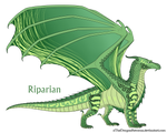 Riparian Ref by xTheDragonRebornx