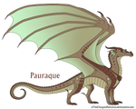 Pauraque Ref by xTheDragonRebornx