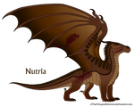 Nutria Ref by xTheDragonRebornx