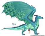 Ebb Ref by xTheDragonRebornx