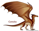 Cumulus Ref by xTheDragonRebornx
