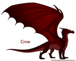 Crow Ref by xTheDragonRebornx