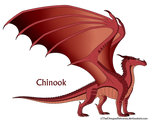 Chinook Ref by xTheDragonRebornx