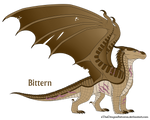 Bittern Ref by xTheDragonRebornx