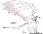 Alopex Ref by xTheDragonRebornx