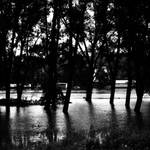 Wait for your sound by mehrmeer