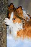I count to 10 and you are hiding by Vikarus