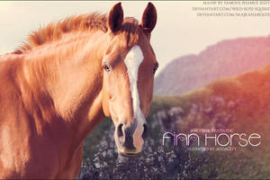 Audacity Finn Horse by FamousShamus109