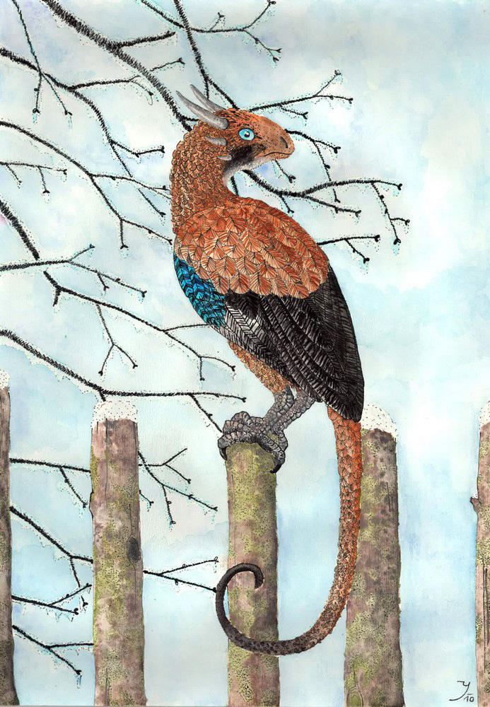 Draco garrulus glandarius by yeyra