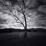 Vinyan by DrewHopper