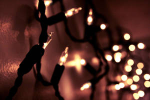 Let Your Light Shine by AirplaneEatsSky