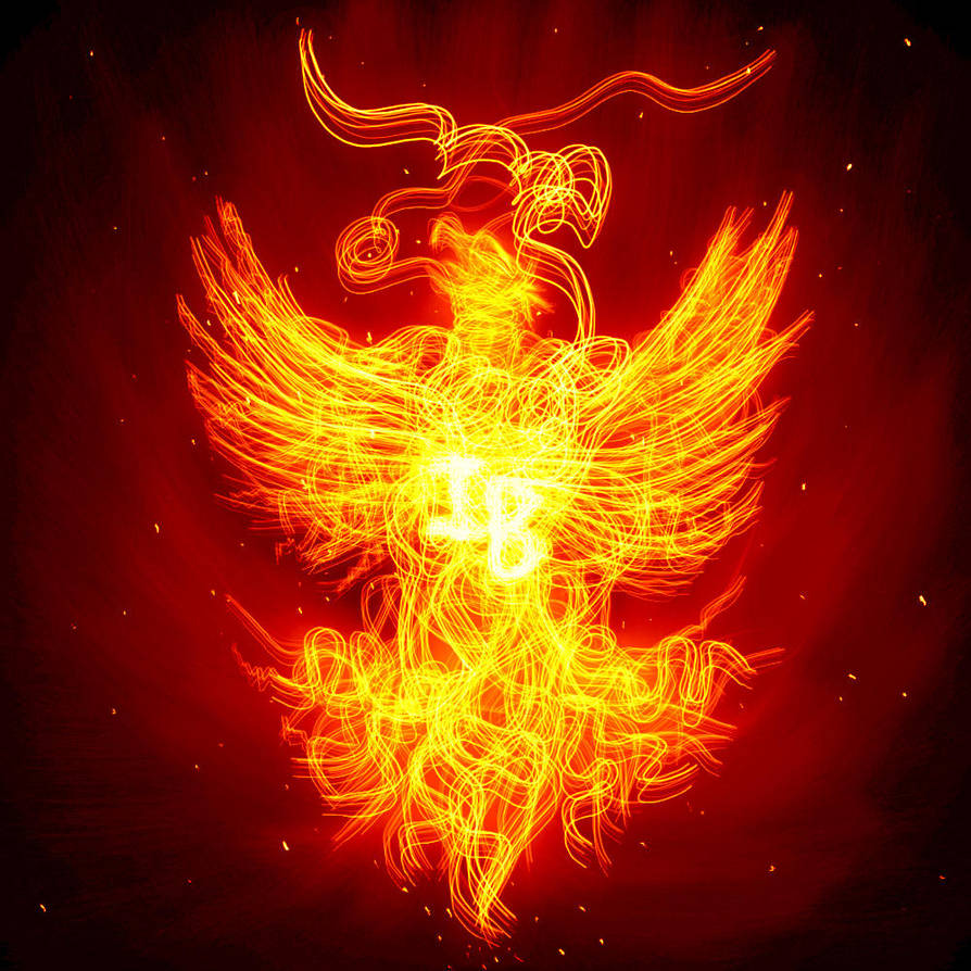 Garuda by nisamerica