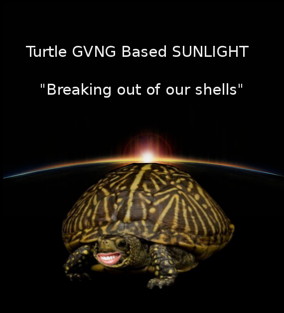 Turtle GVNG BASED Sunlight by Flavictus