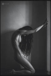 Lines by DanHecho