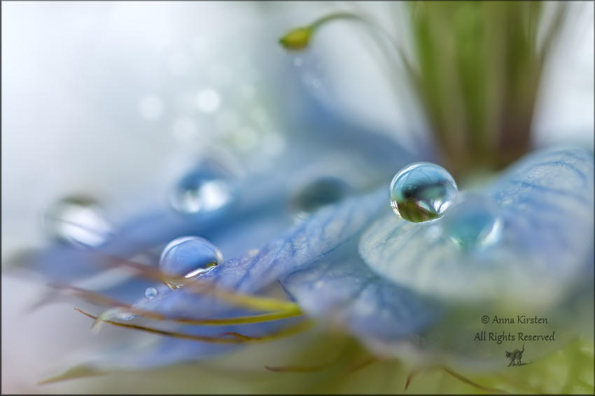 Fingerprints of rain by AnnaKirsten