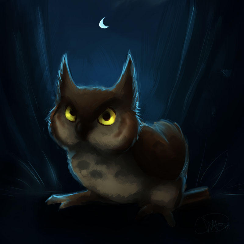owl in the night by gabfury