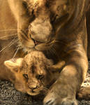 Mother in Love by brijome