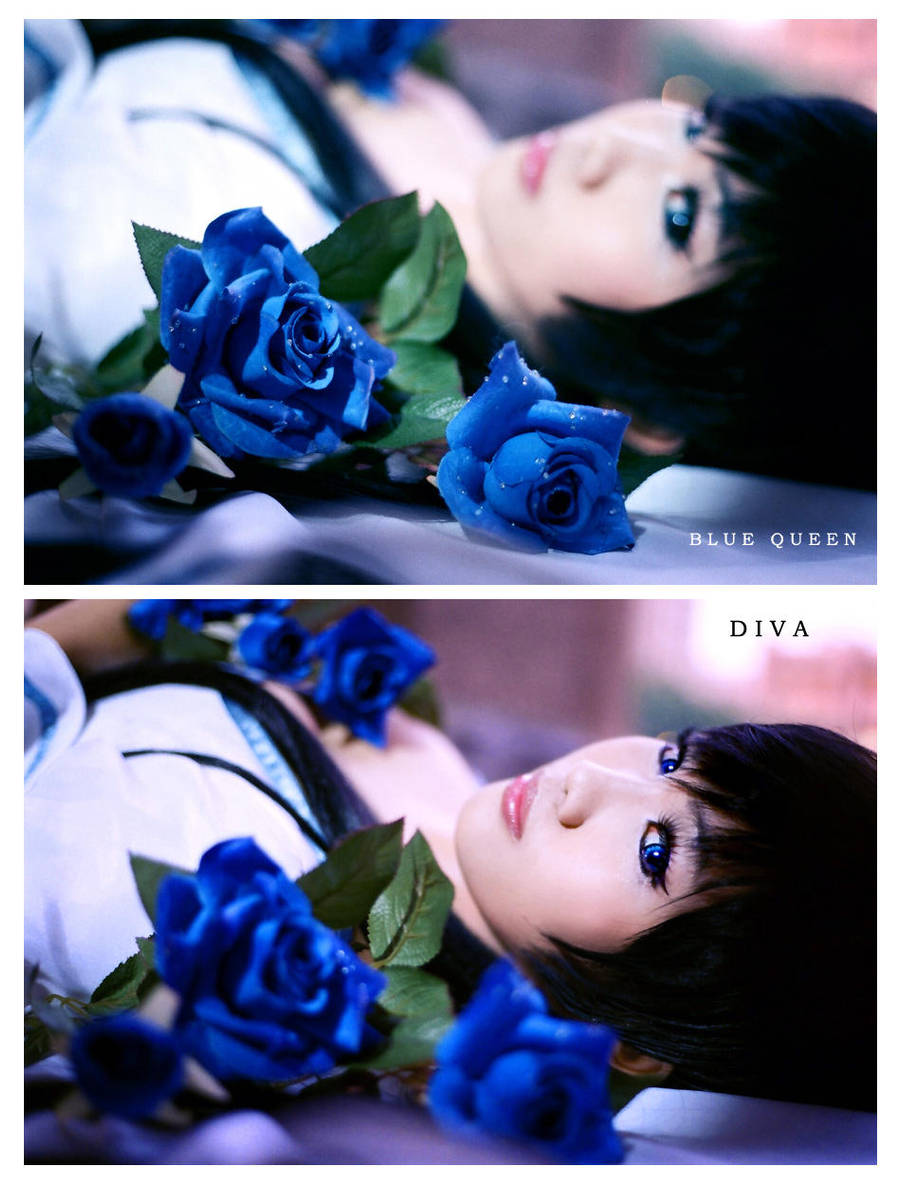 Blood+ : D I V A by Astellecia