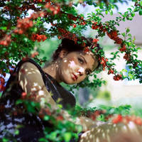 In the Sun by BlackCocktail