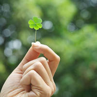 I dream a dream 3 by thailinh