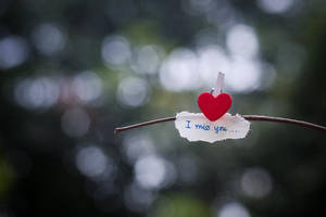 He was... by thailinh