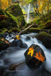 Yin Yang FAll by Dee-T