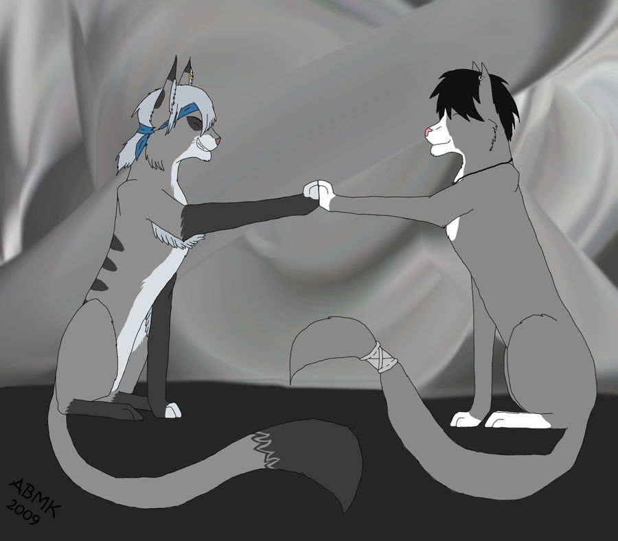 GreyKitty and DarkSunshine by DarkSunshine92 GreyKitty and DarkSunshine by DarkSunshine92