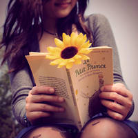 The Prince and Me by polyaofsunflowers