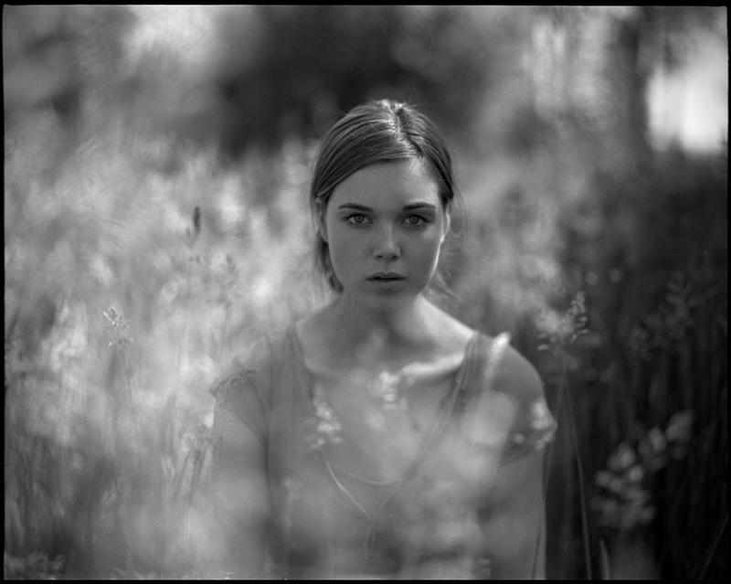 dandelion by micmojo