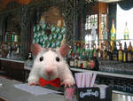 Barman rat by Momotte2