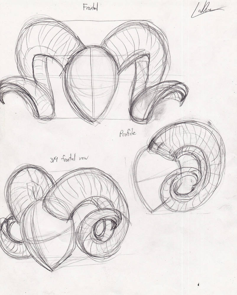 Demon Horn Reference Ram Horns By The Artist Marine On Deviantart