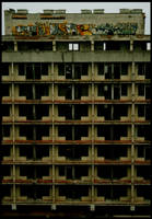 thaHOOD by KIWIE-FAT-MONSTER