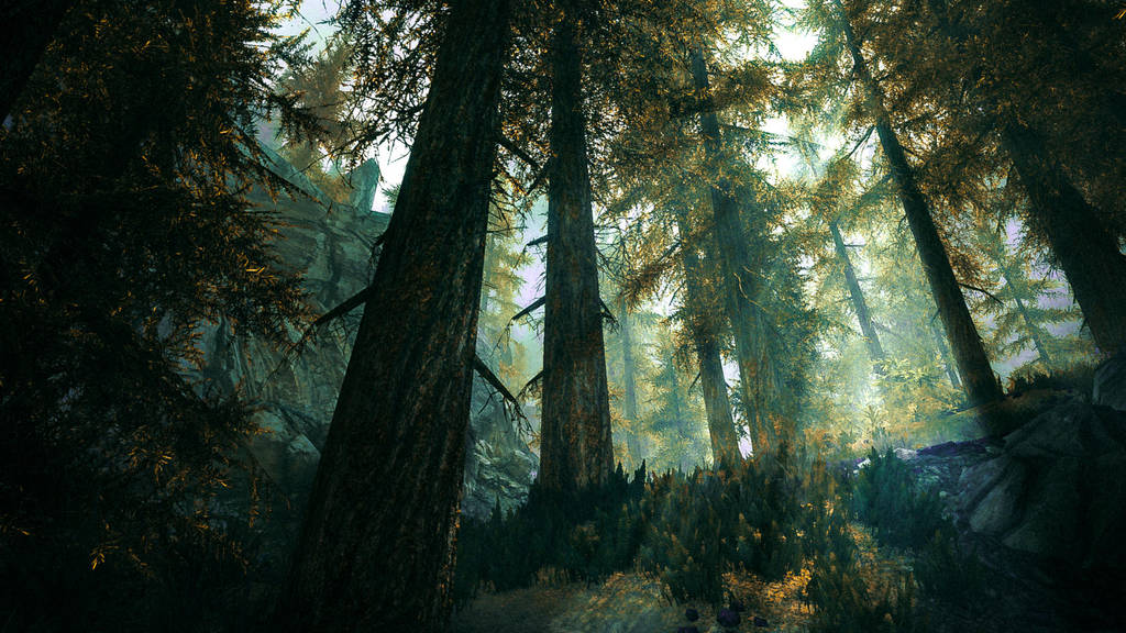 Deep in The Woods - Skyrim by WatchTheSkies45