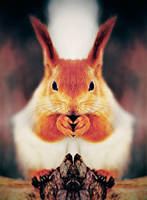 squirrel-killer by Vurtov