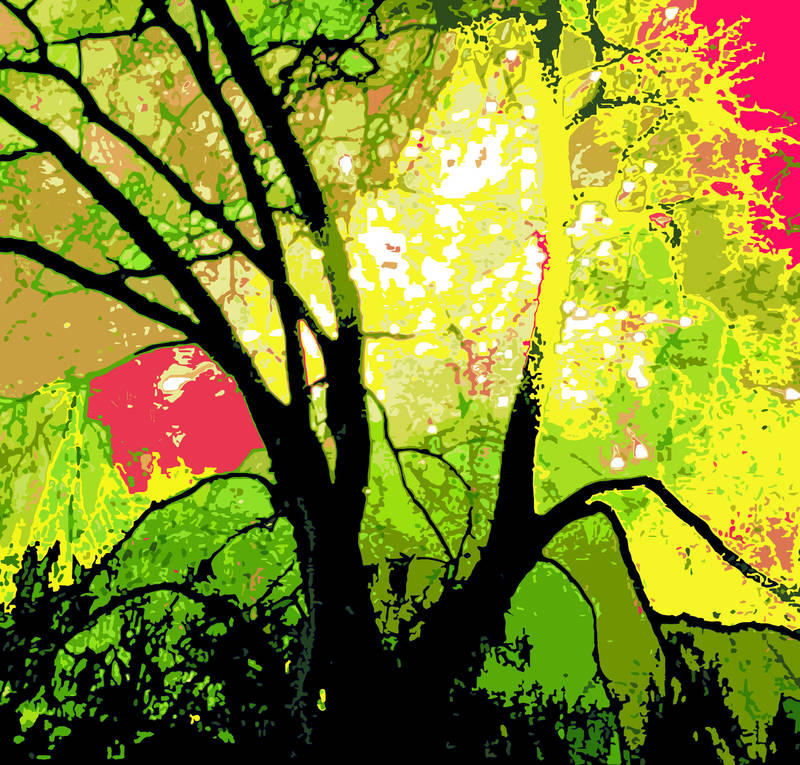 Firework Tree by linandara