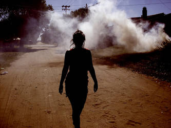 Survivor by traintotheparadise