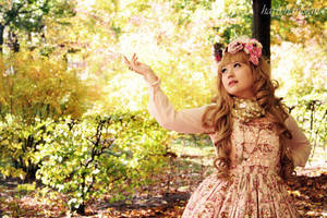 Autumn Light by harlyharlekin