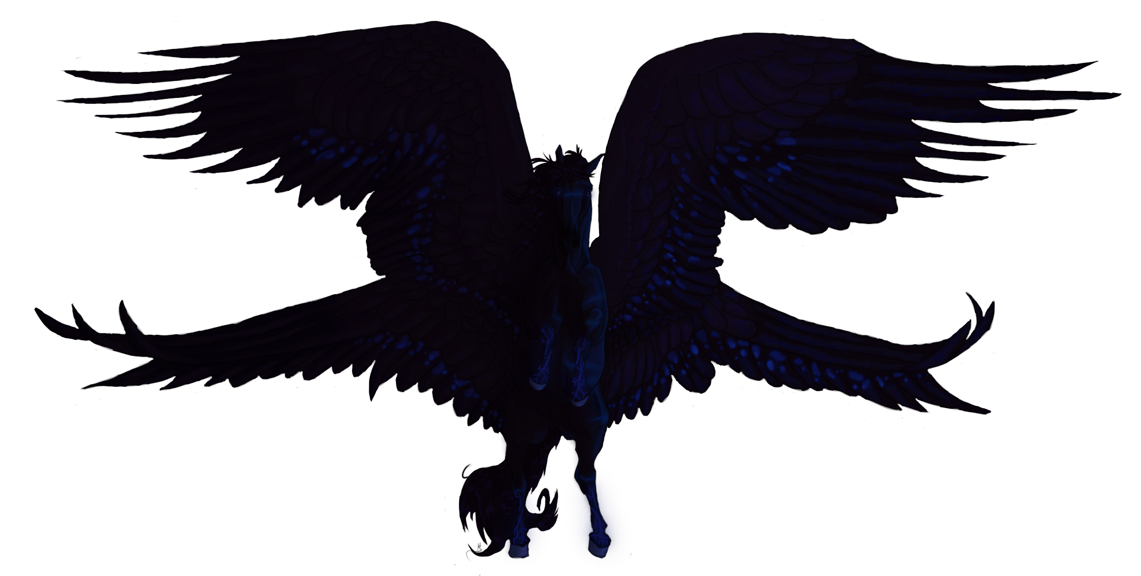The bringer of the Night by Blusl