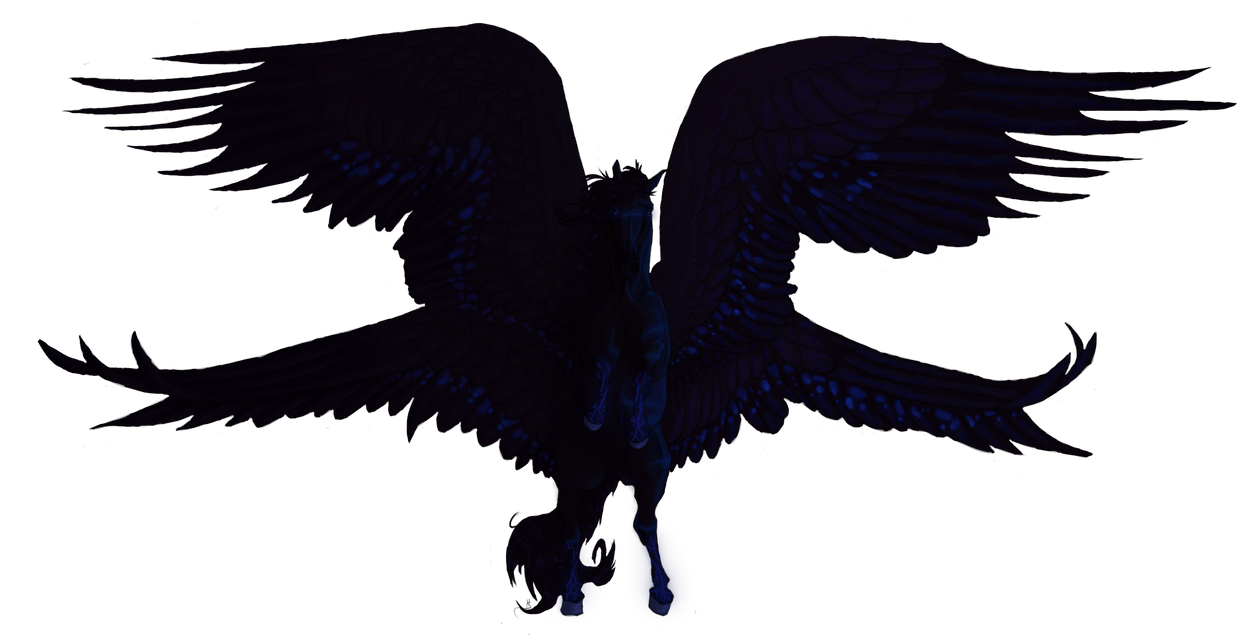 The bringer of the Night by Blusl