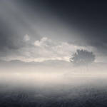 Dreamland XII by Menoevil