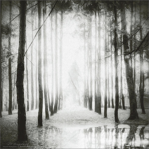 Dreamland XVII by Menoevil