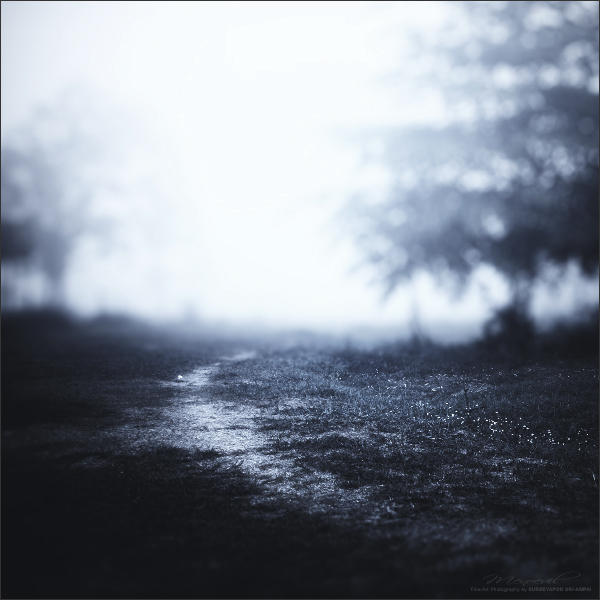 Forgotten Road by Menoevil