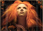 Orange Passion by Cosmopavone